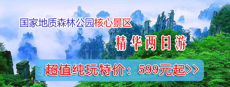 招投標(biāo)精選推送